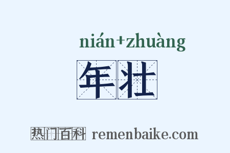 年壮是什么意思的图片